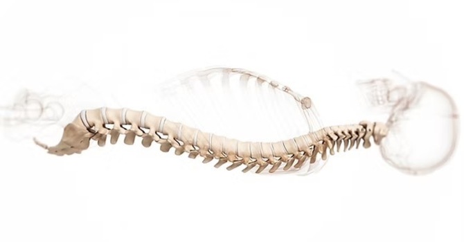 Spinal Decompression Physiotherapy