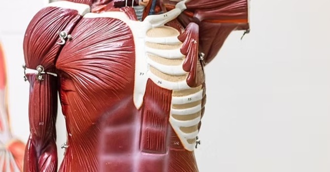 ConnectTherapy Concept Physiotherapy