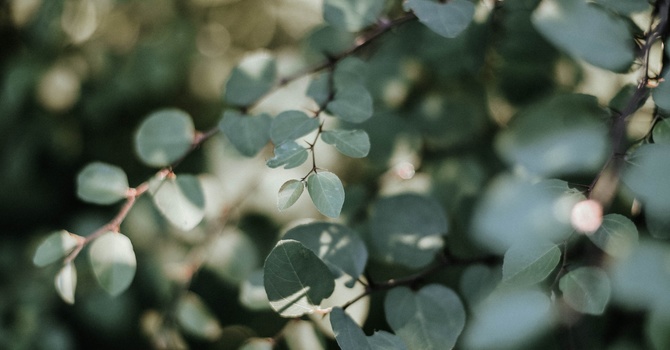 TMJ Therapy -Temporomandibular/Jaw Joint